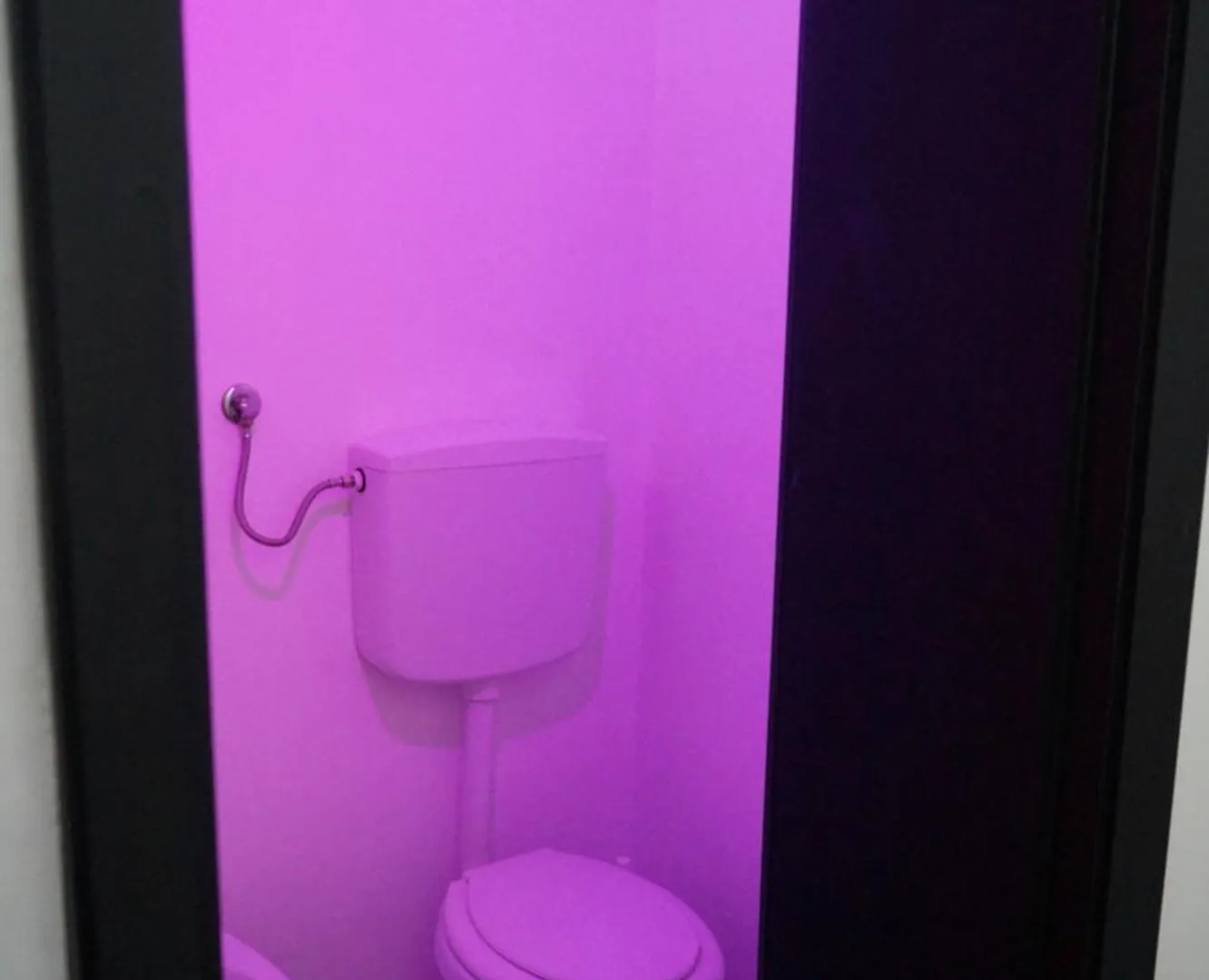 Stupido Hotel Rimini